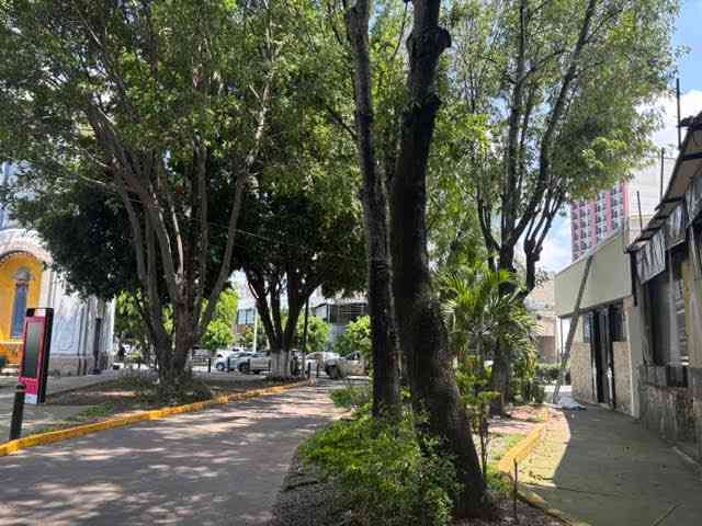 oficina en renta avenida ignacio l vallarta vallarta guadalajara jalisco ppJoAsv