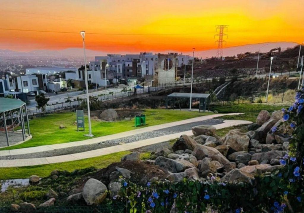 Foto de la galeria de imagenes