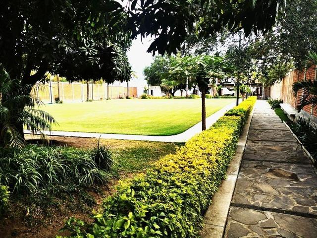 Foto de la galeria de imagenes