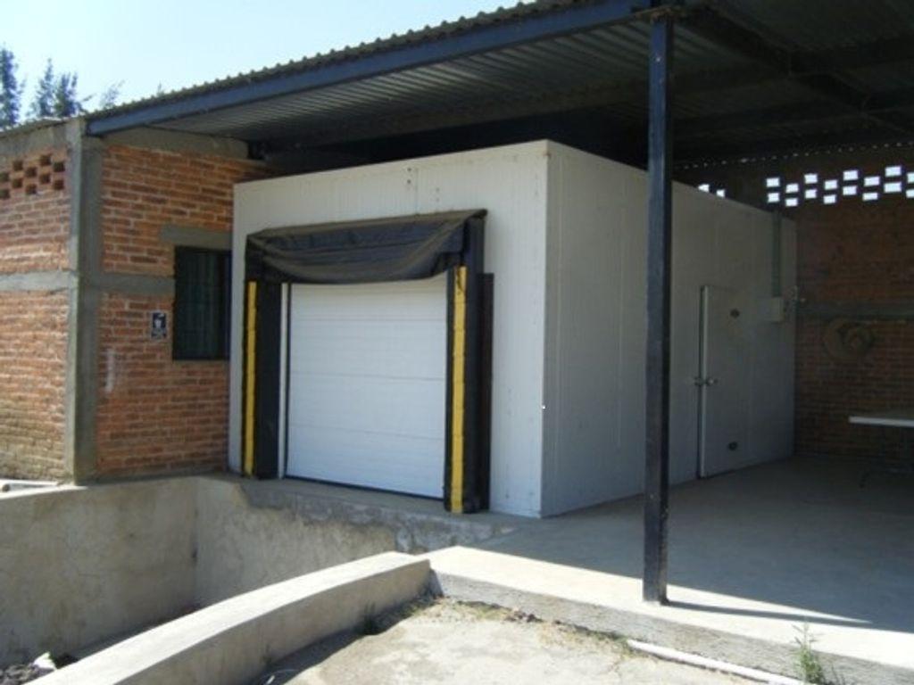 Foto de la galeria de imagenes