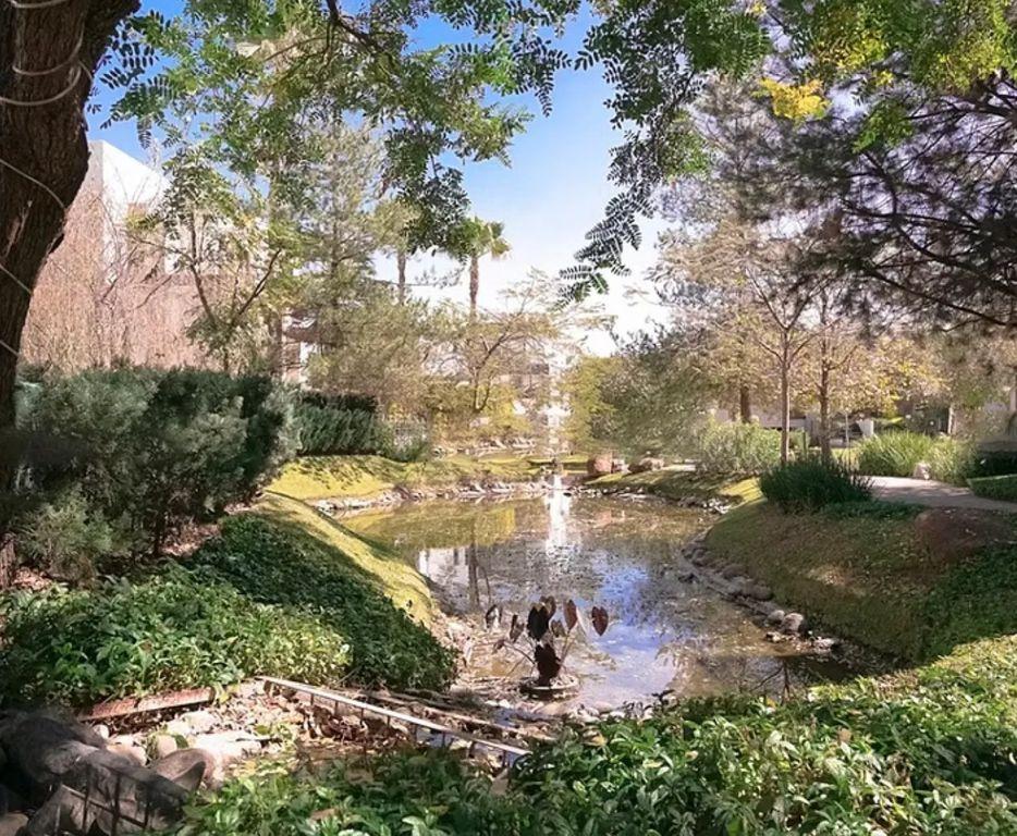 Foto de la galeria de imagenes