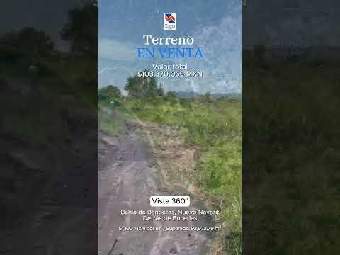 Previsualización del video