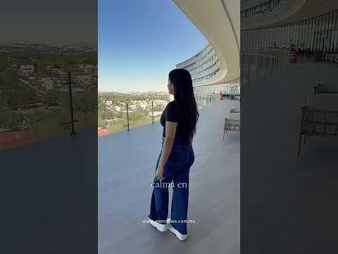 Previsualización del video