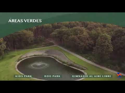 Previsualización de video