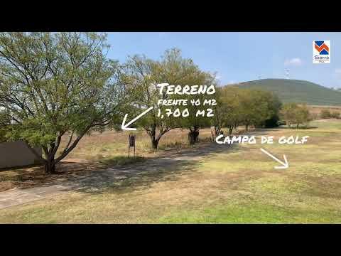 Previsualización del video