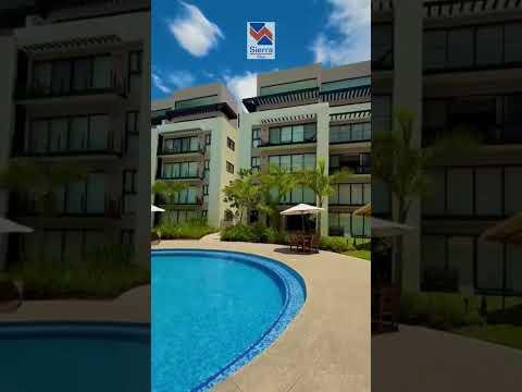 Previsualización del video