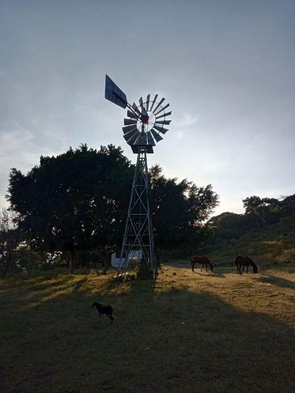 Foto de la galeria de imagenes