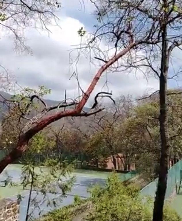 Foto de la galeria de imagenes