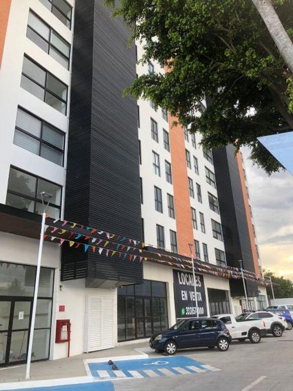 Foto de la galeria de imagenes
