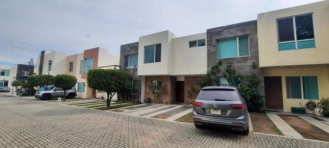 Foto de la galeria de imagenes