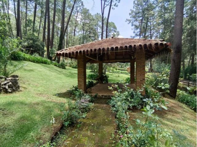 Foto de la galeria de imagenes