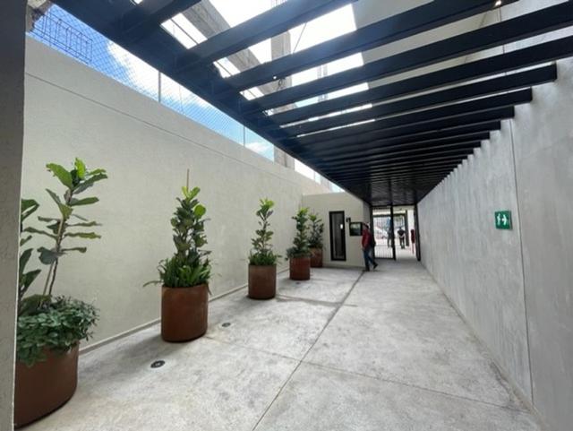 Foto de la galeria de imagenes